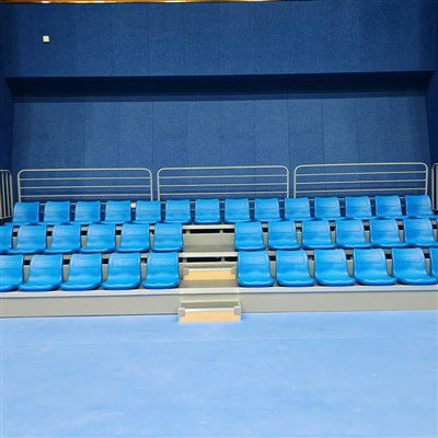 Suíocháin Seasta Dhíon