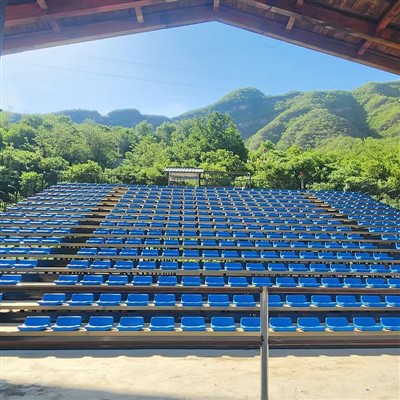 Suíochán Múnlaithe Buille Íseal ar ais Hollow